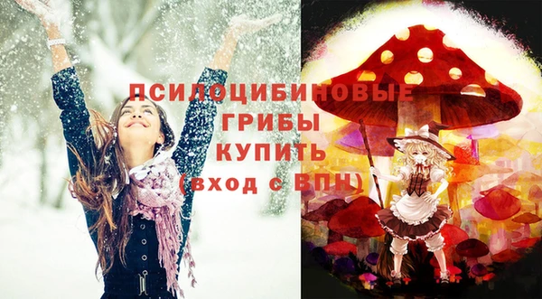 apvp Заволжск